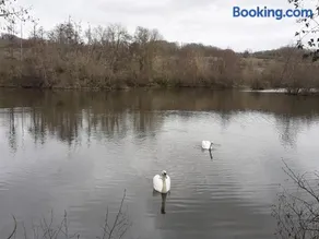 Au Bord de L'Eau - Image 5