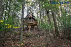 Enchanted Evergreen - Image 4