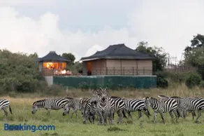 Entalet Mara Camp - Image 3