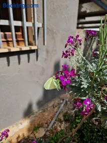 CASA ATZENI - your relaxation surrounded by nature - Image 1