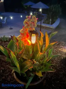The Oasis - Image 3