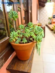 Casa da Juriti - Image 3