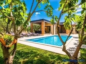 VILLA TRIS - Modern Heated Pool Villa near Pula - Image 1