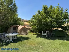 Tamarón camping - Image 1