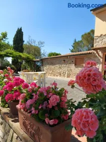 Agriturismo Mezzo Poggio Suvereto - Image 1