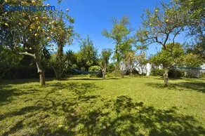 Le Querce - Image 4