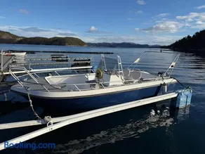 Large cabin near the lake, boat can also be rented - Image 3