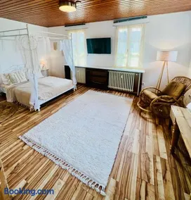 Cloud 9 , Apartment mit Garage und Garten in Nähe der Uniklinik, Bosch, Ina Schaeffler - Image 2