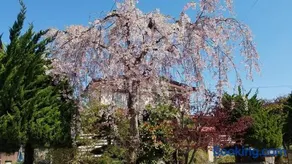 AomoriOutdoorHouse - Image 2