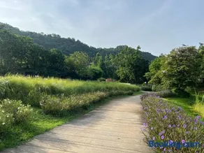 Deluna 23degree by The valley khao yai - Image 4