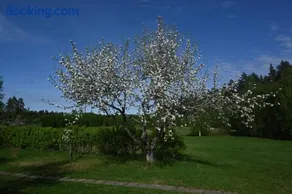 Pellas Gård - Image 2