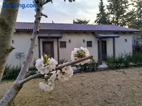 דצ'א - Дача - Dacha - Image 1