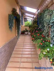 Sítio Casa de Boneca - Image 5