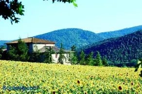 Agriturismo Montioni - Image 3
