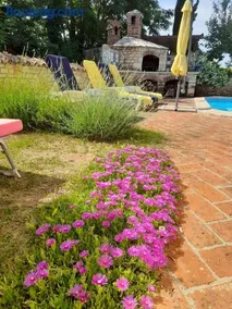 Villa-Johanna - Image 2