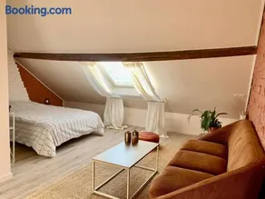 Chaleureuse et spacieuse chambre, sdb privative - Image 1