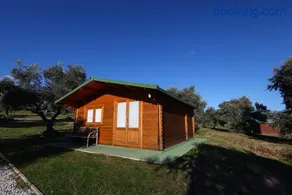 El Bosque de Ribera - Image 5