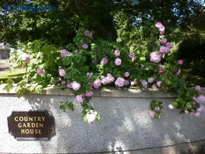 Country Garden House Holiday Homes - Image 1