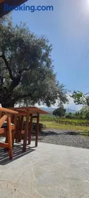 La finestra sul vigneto - Image 1