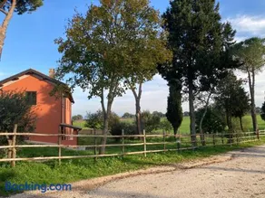 Azienda Agricola il Borgo di Sant'Elia - Image 2