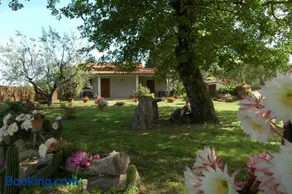 Agriturismo San Vincenzo - Image 2