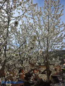 B&B Il Tralcio - Image 1