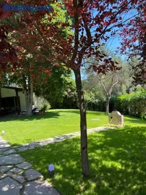 Villa Diomedes - Image 5