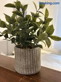 Ferienwohnung zur Sternblume - Image 3