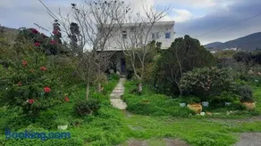Stenorimi Valley House - Livadi, Astypalea - Image 3