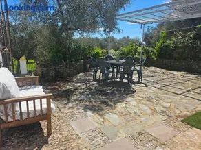 Finca el Berezal - Image 3