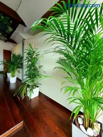 Suite Loft - Image 5