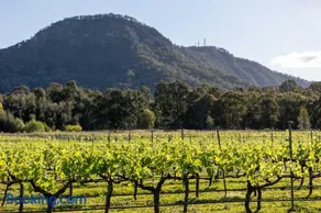 Brokenback Vineyard Cottage - Image 3