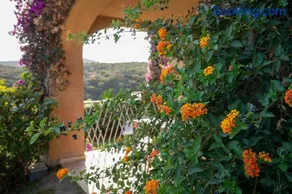 Sherden suites - Your House in Sardinia - Image 4