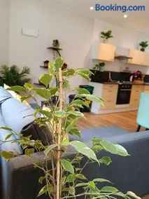 Appartement 2 - Image 1