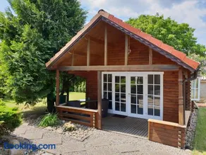 Tannenzapfen - Image 4