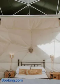 Star Gazing Dome 1 with cozy log burner - Image 2