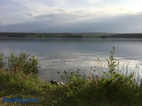 Bo på Lanthandel - Image 2