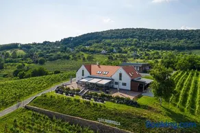 Vitis Kúria 7171 Balatonrendes - Image 2