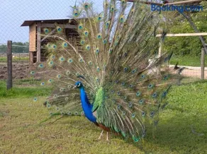 Le gîte Bleu - Image 2
