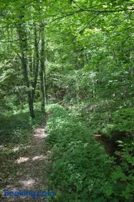 Le Moulin de Chatillon - Image 4