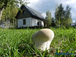Na Skraju Szlaków - Image 2
