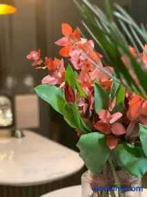 Appart Hôtel Victoria - Image 3