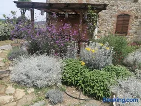 Affitti Brevi Toscana - Ospitalità in Campagna - Image 3
