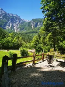 Skalca - Image 1