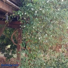 Venetia's Home - Image 2
