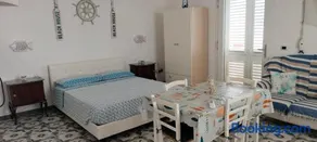 Sofia - Image 2