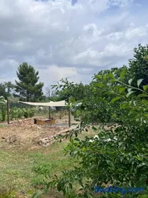 Maison à 20 min des plages de Sainte Maxime - Image 3
