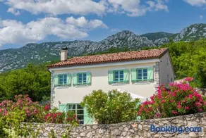 Villa Tribalj - Image 1