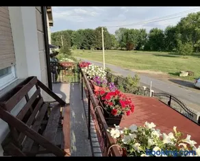 Privatni smestaj - Grujic - Image 5