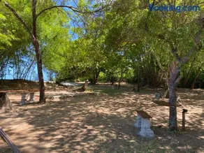 Flor de Lótus Camping - Image 4